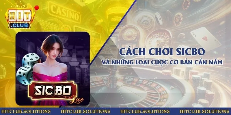 Cách chơi Sicbo và những loại cược cơ bản cần nắm