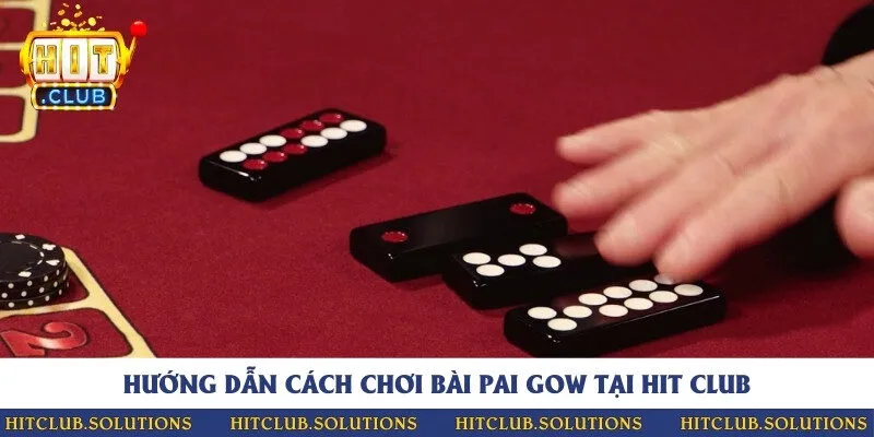 Cách chơi Pai Gow cho người mới bắt đầu