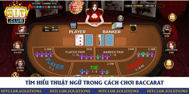 Những thuật ngữ xuất hiện thường xuyên trong mỗi ván chơi